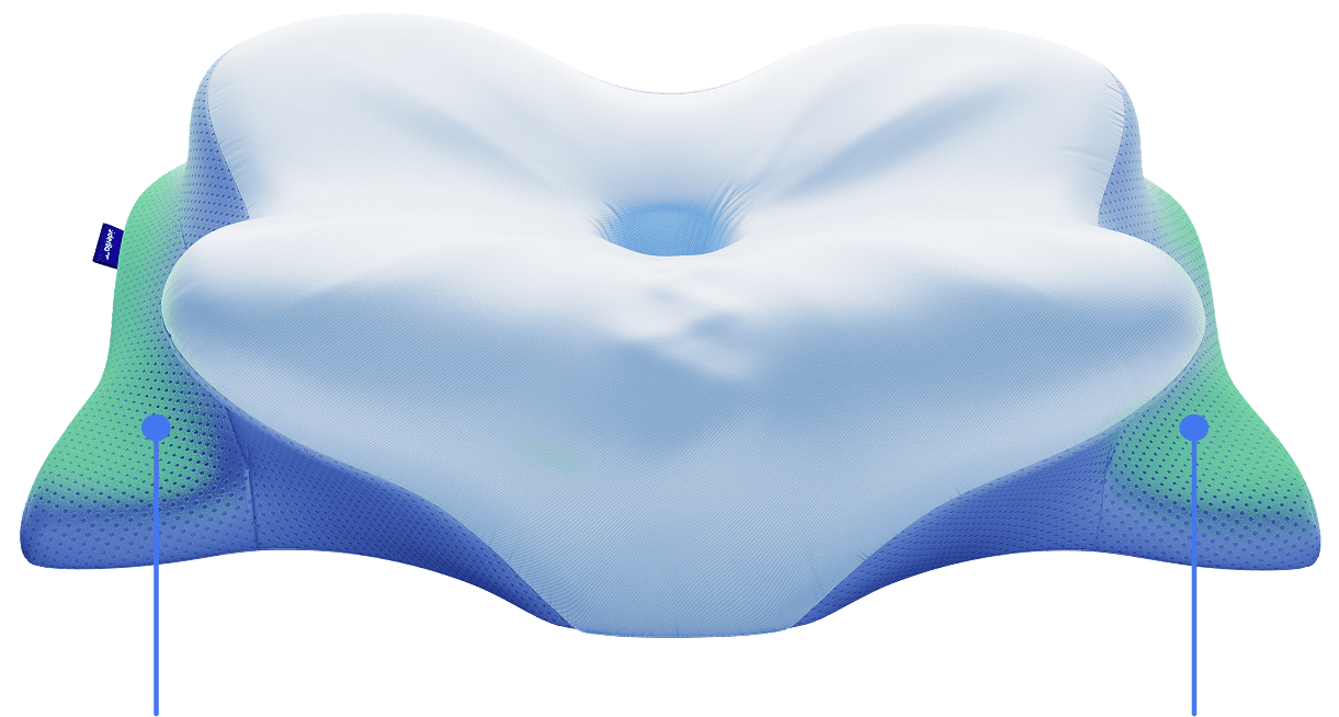 Diagram showing the butterfly contour mechanism of the Derila Ergo ergonomic neck alignment pillow with support zones highlighted